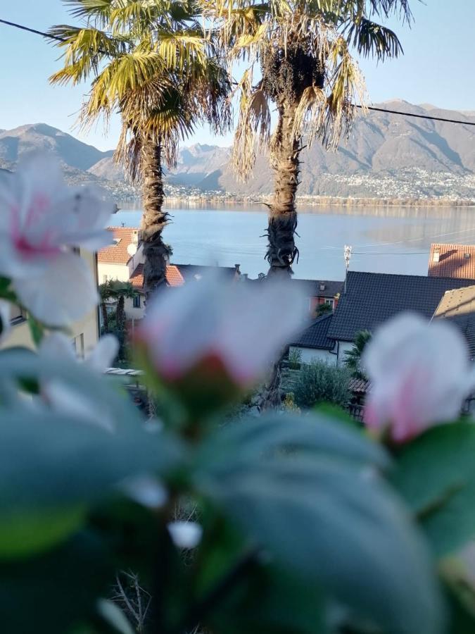 Hotel Ristorante al Portico Gerra  Esterno foto